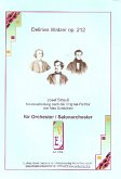 Delirien-Walzer op.212 für Orchester (Salonorchester) Direktion und Stimmen (Streicher3/3/2/2/1 Vl obl.) Delirien-Walzer op.212 für Orchester (Salonorchester) Direktion und Stimmen (Streicher3/3/2/2/1 Vl obl.)