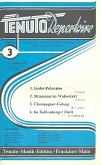 Tenuto Repertoire Serie 3: 4 weltbekannte Stücke für Salonorchester Tenuto Repertoire Serie 3: 4 weltbekannte Stücke für Salonorchester