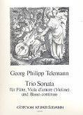 Triosonate für Flöte, Viola d'amore und Bc Triosonate für Flöte, Viola d'amore und Bc