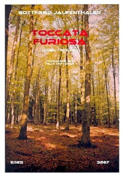 Cover Toccata furiosa für Orgel