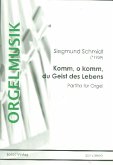 Komm o komm du Geist des Lebens für Orgel