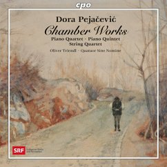 Chamber Works - Triendl,Oliver/Quatuor Sine Nomine