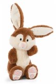 NICI 48386 - Hase Poline Bunny 25 cm, Schlenker, Plüschtier, Friends Kollektion NICI 48386 - Hase Poline Bunny 25 cm, Schlenker, Plüschtier, Friends Kollektion