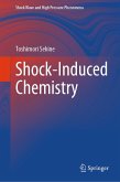 Shock-Induced Chemistry (eBook, PDF)