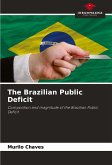 The Brazilian Public Deficit
