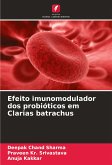 Efeito imunomodulador dos probióticos em Clarias batrachus