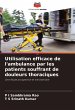 Utilisation efficace de l'ambulance par... - Bild 1