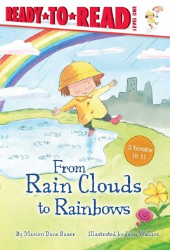 From Rain Clouds to Rainbows - Bauer, Marion Dane