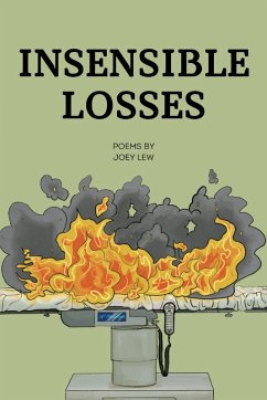 Insensible Losses - Lew, Joey