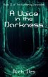 A Voice in the Darkness - Bild 1