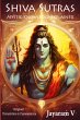 Shiva Sutras Mystic Knowledge Explained - Bild 1