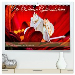 Die Orchideen Gottesanbeterin (hochwertiger Premium Wandkalender 2025 DIN A2 quer), Kunstdruck in Hochglanz - Calvendo;Brack, Roland