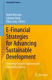 E-Financial Strategies for Advancing Sustainable Development E-Financial Strategies for Advancing Sustainable Development