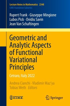 Geometric and Analytic Aspects of Functional Variational Principles - Frank, Rupert;Mingione, Giuseppe;Pick, Lubos