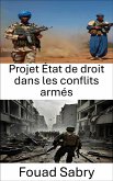 Projet État de droit dans les conflits armés (eBook, ePUB)