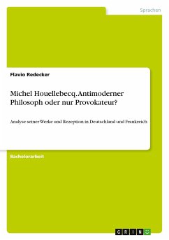 Michel Houellebecq. Antimoderner Philosoph oder nur Provokateur? - Redecker, Flavio