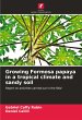 Growing Formosa papaya in a tropical... - Bild 1