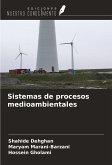 Sistemas de procesos medioambientales