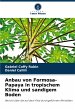 Anbau von Formosa-Papaya in tropischem... - Bild 1