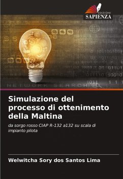 Cover Simulazione del processo di ottenimento della Maltina