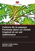 Culture de la papaye Formosa dans un climat tropical et un sol sablonneux