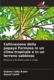 Coltivazione della papaya Formosa in un clima tropicale e in un terreno sabbioso