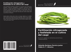 Fertilización nitrogenada y fosfatada en el cultivo del caupí - Pereira Junior, Ednaldo Barbosa; Oliveira, Fábio H. T.