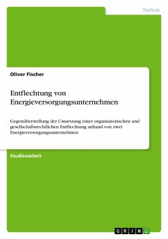 Entflechtung von Energieversorgungsunternehmen - Fischer, Oliver