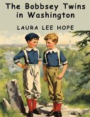 The Bobbsey Twins in Washington