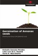 Germination of Annonas seeds - Bild 1