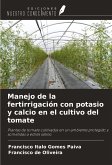 Manejo de la fertirrigación con potasio y calcio en el cultivo del tomate