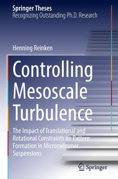 Cover Controlling Mesoscale Turbulence