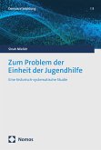 Zum Problem der Einheit der Jugendhilfe (eBook, PDF)