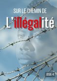 Sur le chemin de l'illégalité (eBook, ePUB)