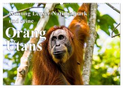 Gunung Leuser Nationalpark und seine Orang Utans (Wandkalender 2025 DIN A2 quer), CALVENDO Monatskalender