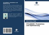 XYLANASE- Produktion und Optimierung
