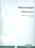 Lebensstürme op.144 für Klavier zu 4 Händen Spielpartitur