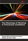 The Meanings of Working in Precarious Conditions