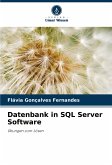 Datenbank in SQL Server Software