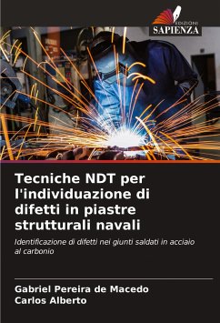 Tecniche NDT per l'individuazione di difetti in piastre strutturali navali - Pereira de Macedo, Gabriel;Alberto, Carlos