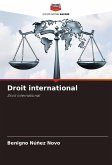 Droit international