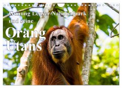 Gunung Leuser Nationalpark und seine Orang Utans (Wandkalender 2025 DIN A4 quer), CALVENDO Monatskalender