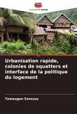 Urbanisation rapide, colonies de squatters et interface de la politique du logement