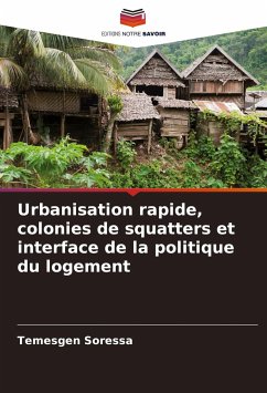 Urbanisation rapide, colonies de squatters et interface de la politique du logement - Soressa, Temesgen