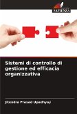 Sistemi di controllo di gestione ed efficacia organizzativa