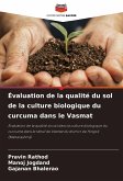 Évaluation de la qualité du sol de la culture biologique du curcuma dans le Vasmat
