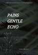 Pains gentle echo - Bild 1