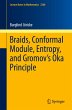 Braids, Conformal Module, Entropy, and... - Bild 1