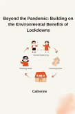 Beyond the Pandemic: Building on the Environmental Benefits of Lockdowns