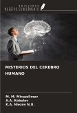 MISTERIOS DEL CEREBRO HUMANO